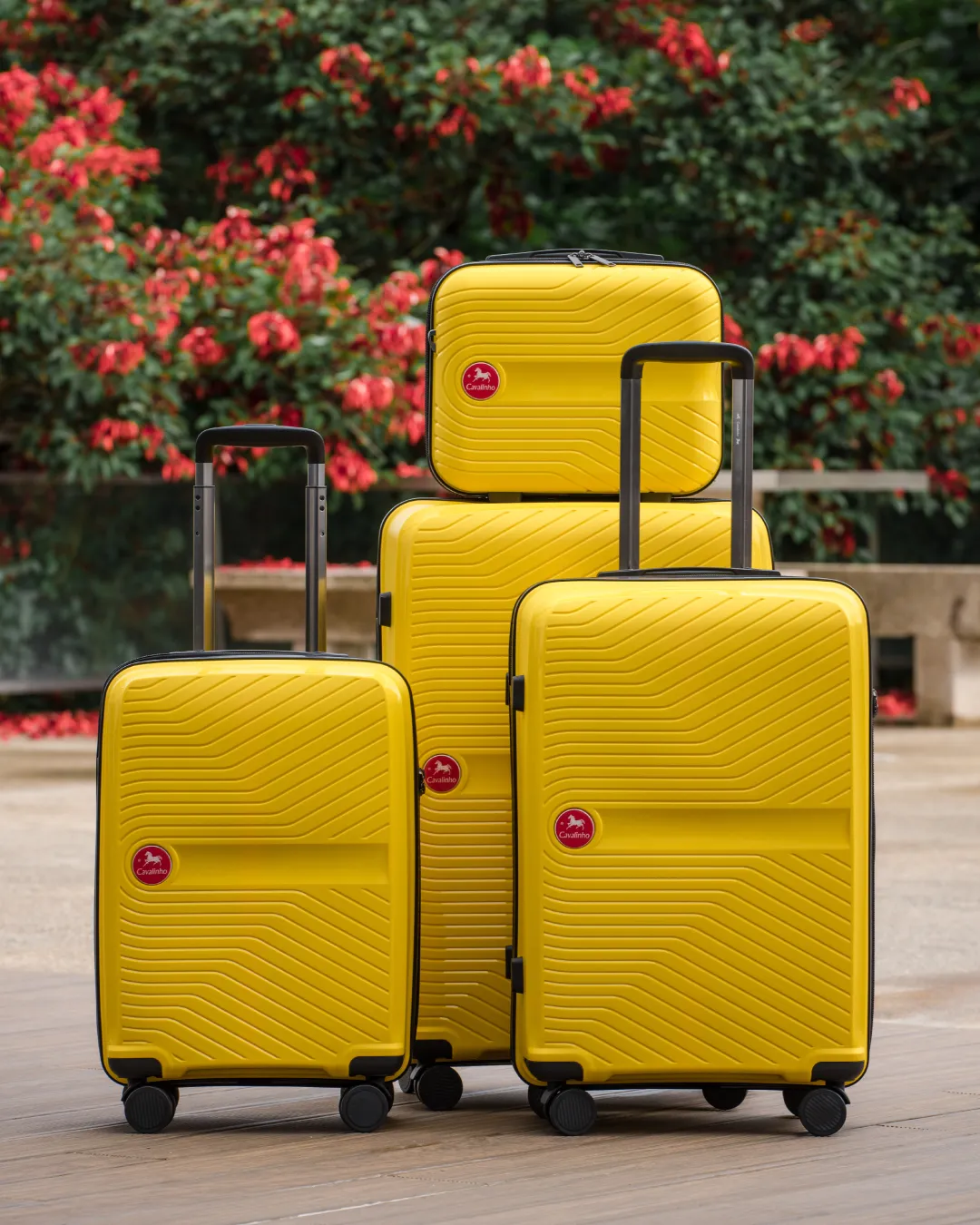 Colorful Check-in Hardside Luggage (28")