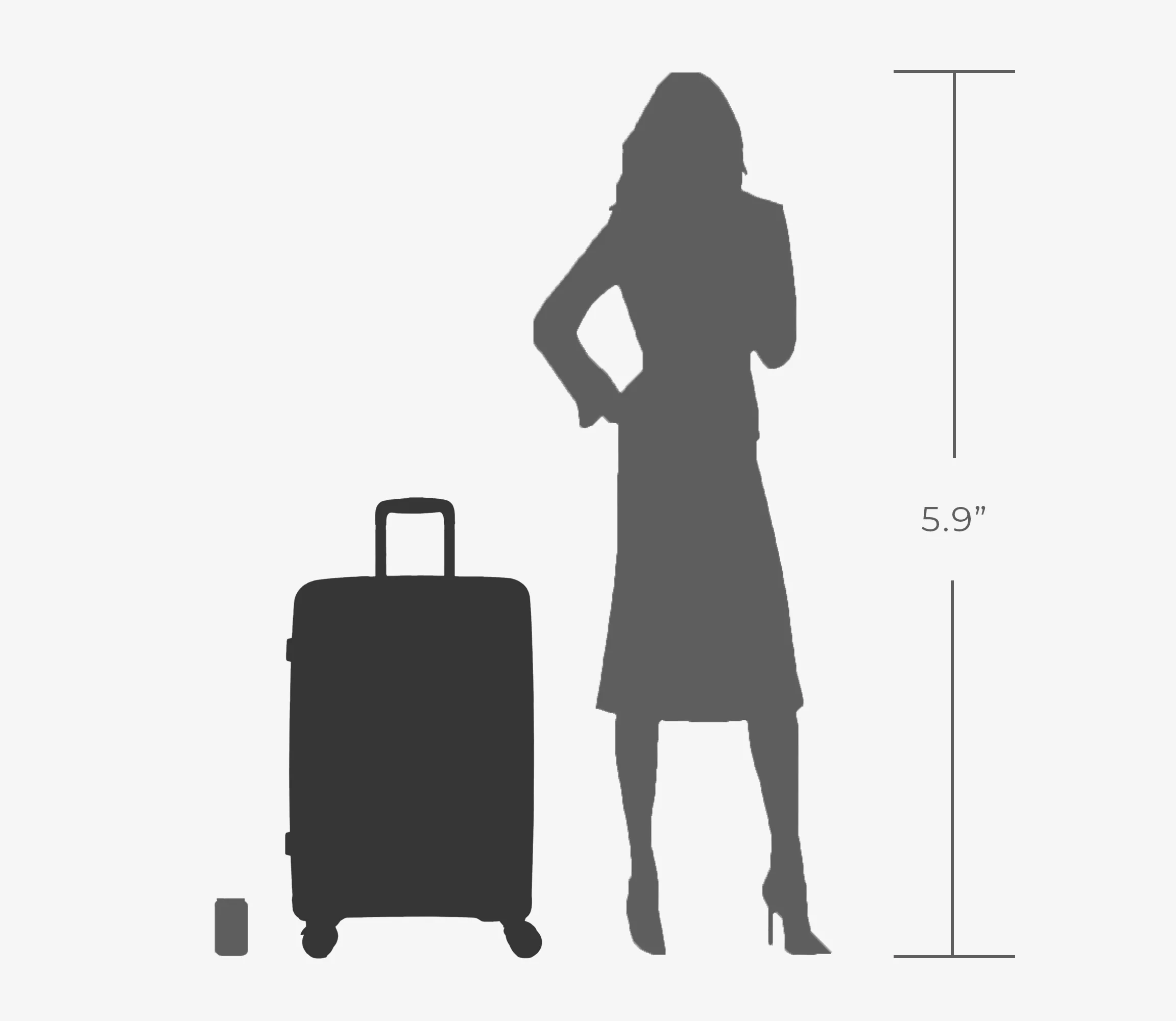 Colorful Check-in Hardside Luggage (28")